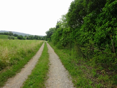 Photo 75 - Path on dirt road