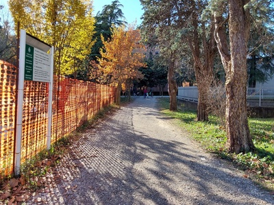 41 - Gravel path
