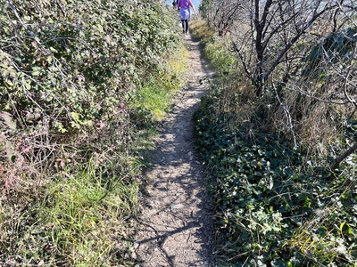 Photo 99 - Path on grassy trail