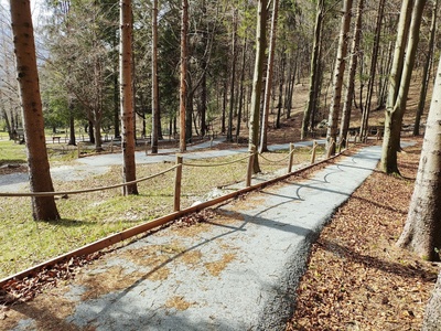 Tratto nel bosco