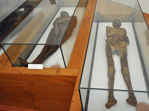 Cappella San Michele (Mummie di Venzone)