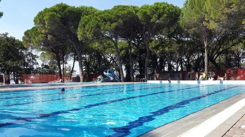 Belvedere Pineta camping village - Reception e servizi comuni