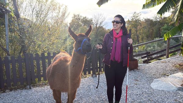 Catarina tiene il lama più amichevole della fattoria Zalpa