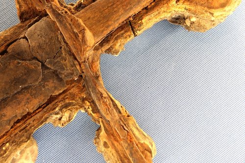 MuLa - Museo Archeologico della Laguna di Marano