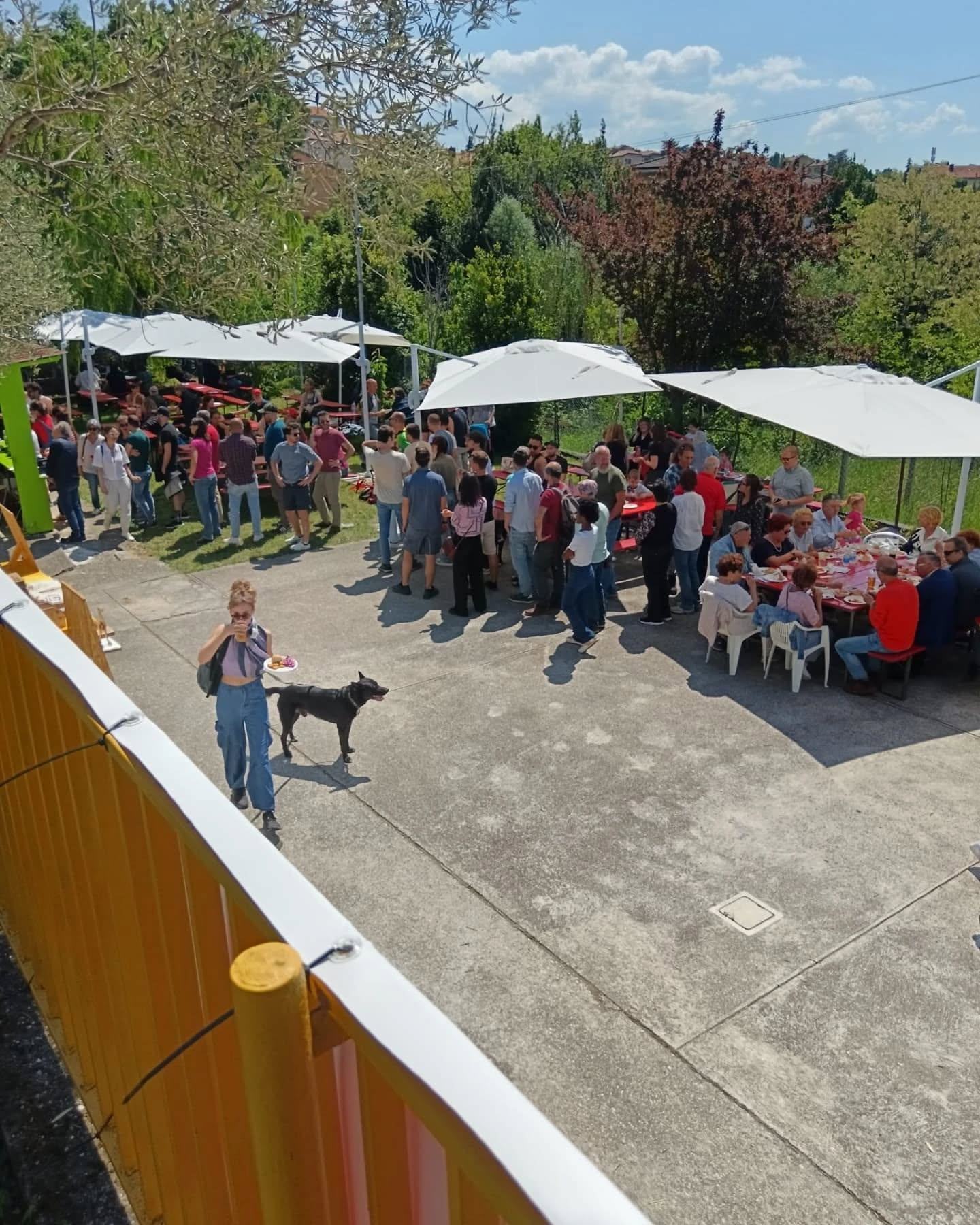 un evento al posto delle fragole